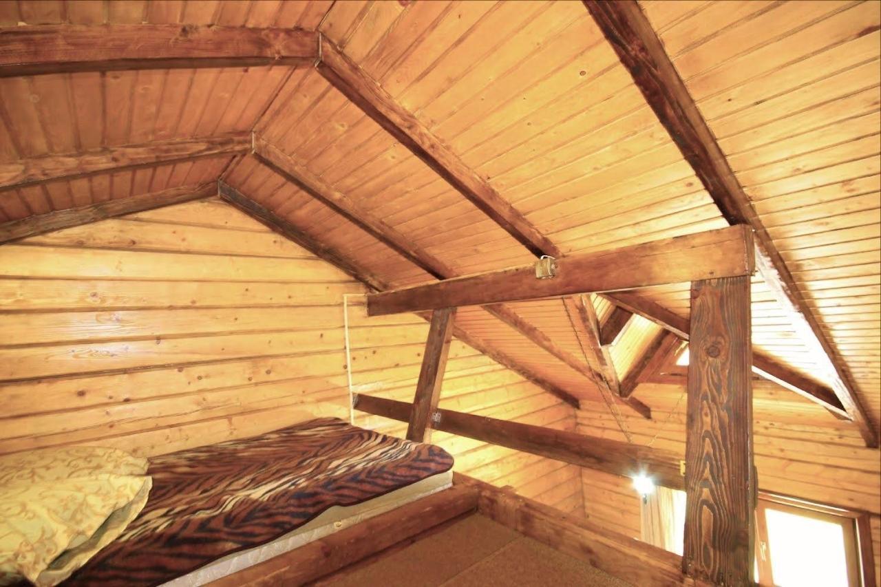 Skelia Hotel Volosyanka  Luaran gambar